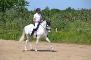 Damien Dolata monte un beau cheval blanc au sein de son centre de rééducation de Manduel dans le Gard
