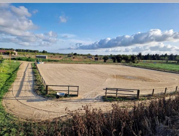 L'écurie verte à Manduel dans le Gard offre 14 hectares de terrain pour rééduquer vos chevaux